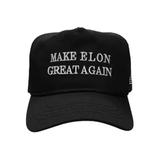 Make Elon Great Again